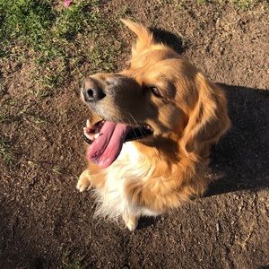 Meet your Posher, Gabriel